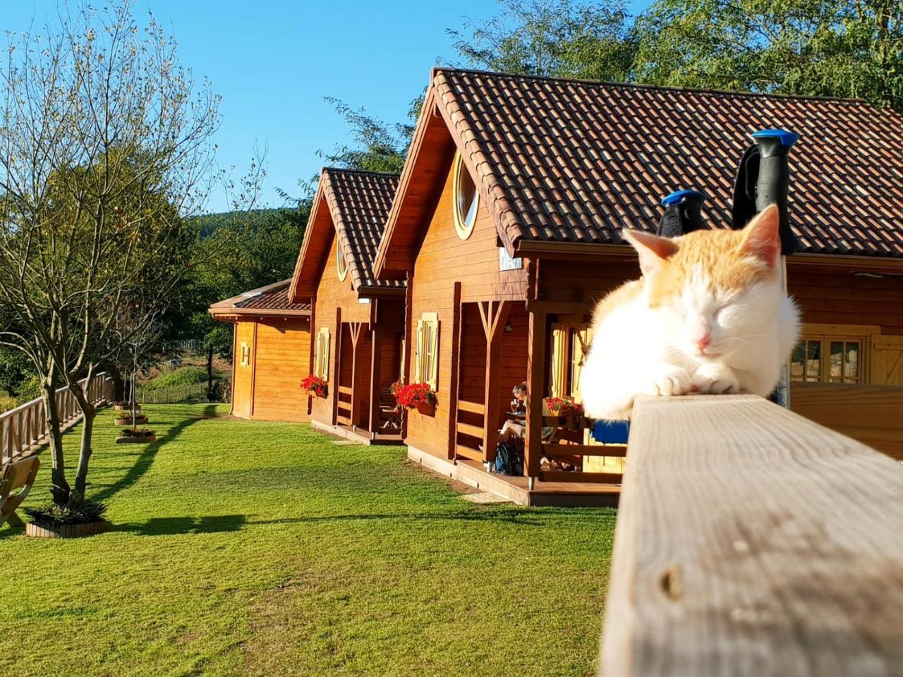 Cabanas Da Ria Lires Kültér fotó
